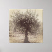 CANVAS KUNST EN DESIGN MUUR (Voorkant)