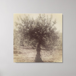 CANVAS KUNST EN DESIGN MUUR