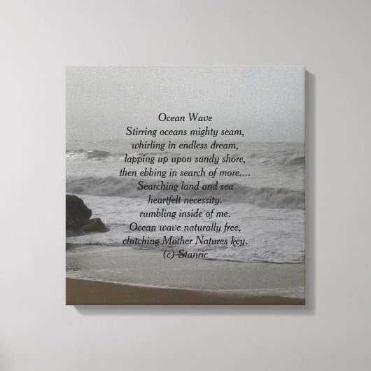 CANVAS KUNST EN DESIGN MUUR (Voorkant)