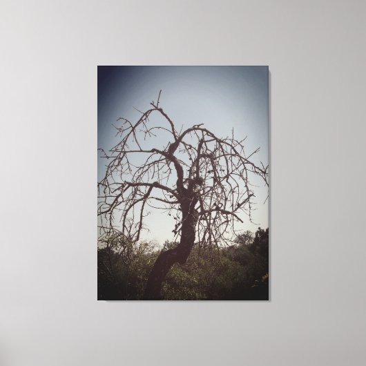 CANVAS KUNST EN DESIGN STIJL (Voorkant)