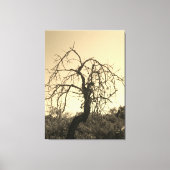 CANVAS KUNST EN DESIGN STIJL (Voorkant)