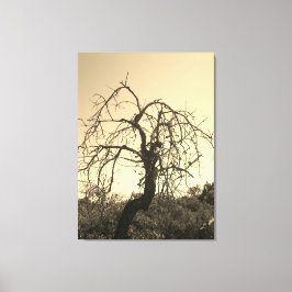 CANVAS KUNST EN DESIGN STIJL