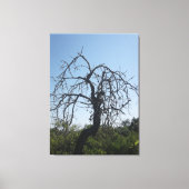 CANVAS KUNST EN DESIGN STIJL (Voorkant)