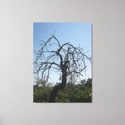 CANVAS KUNST EN DESIGN STIJL (Voorkant)