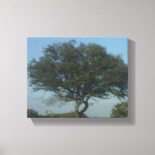 CANVAS KUNST EN ONTWERPSTIJL
