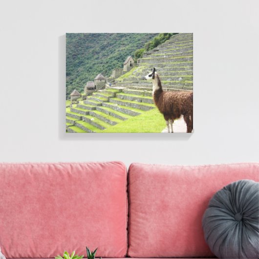 canvas llama (Insitu (Woonkamer))