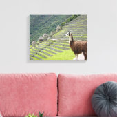 canvas llama afdruk (Insitu (Woonkamer))