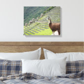 canvas llama afdruk (Insitu (Slaapkamer))