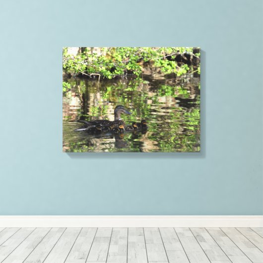 Canvas: Mallard Duck en Ducklings Canvas Afdruk (Insitu (Houten vloer))
