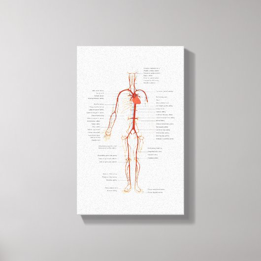 Canvas Menselijk bloedsomloop van slagaders (Voorkant)