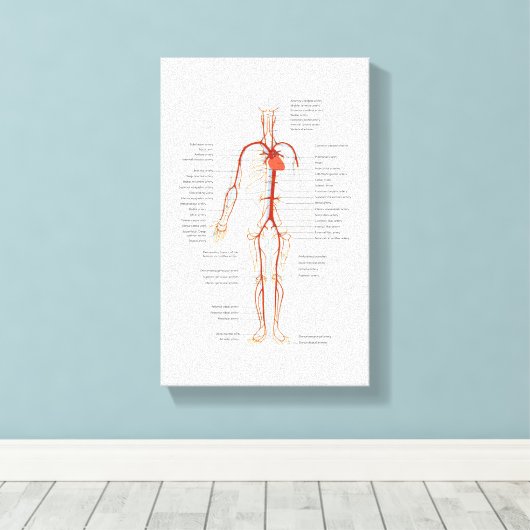 Canvas Menselijk bloedsomloop van slagaders Afdruk (Insitu (Houten vloer))