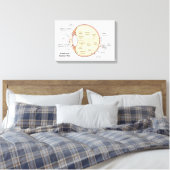 Canvas Menselijk Oog Bal Anatomisch Diagram Afdruk (Insitu (Slaapkamer))