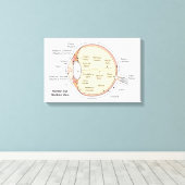 Canvas Menselijk Oog Bal Anatomisch Diagram Afdruk (Insitu (Houten vloer))