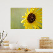 Canvas met achtergrondverlichting, Wilde Zonnebloe Poster (Keuken)