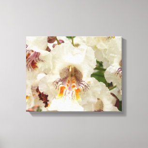 Canvas met Indianbeenboomvloeren Afdruk