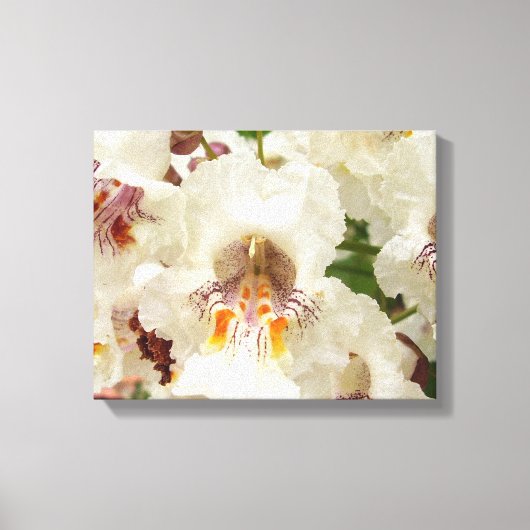 Canvas met Indianbeenboomvloeren Afdruk (Voorkant)