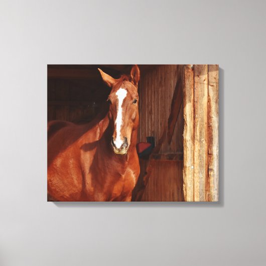 canvas met karbonadestrengen afdruk (Voorkant)