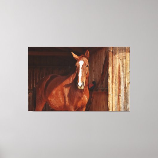 canvas met karbonadestrengen afdruk (Voorkant)