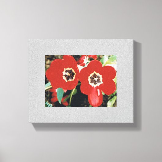Canvas met rode tulpen afdruk (Voorkant)