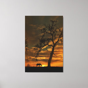 Canvas met Southwestern Fine Art Horse