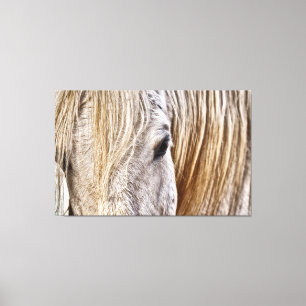 canvas met tint rond paard afdruk