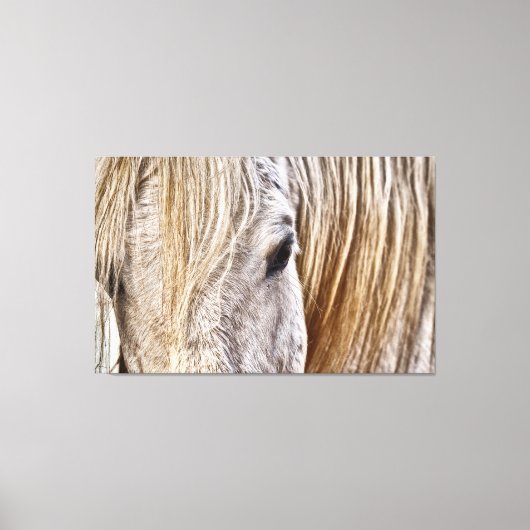 canvas met tint rond paard afdruk (Voorkant)