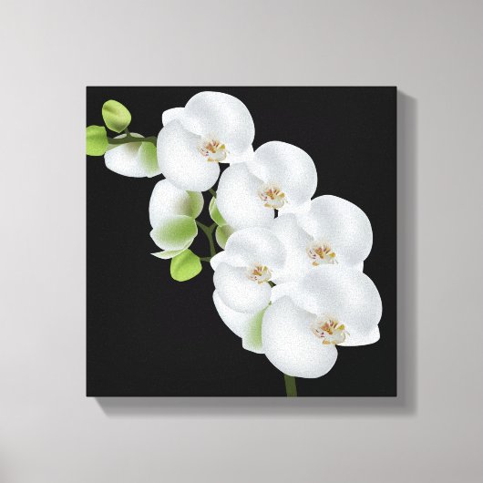 Canvas Muur Art-witte orchideeën Afdruk (Voorkant)