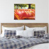 Canvas natuur fotografie Rode herfstbladeren val Afdruk (Insitu (Slaapkamer))