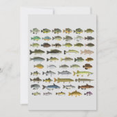 Canvas North America Freshwater Fish Group Print (Voorkant)