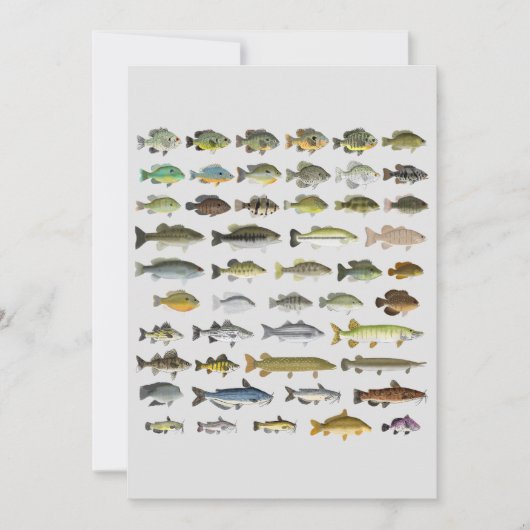 Canvas North America Freshwater Fish Group Print (Voorkant)