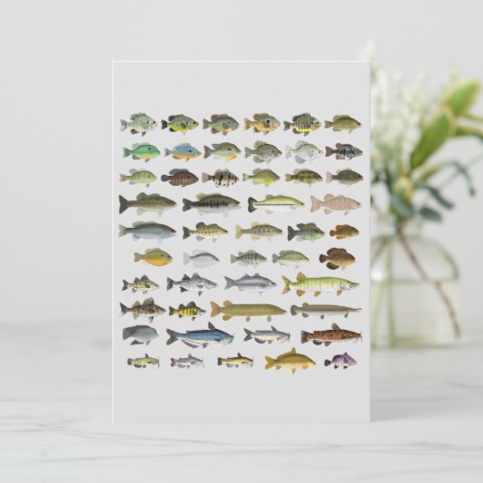 Canvas North America Freshwater Fish Group Print (Staand voorkant)