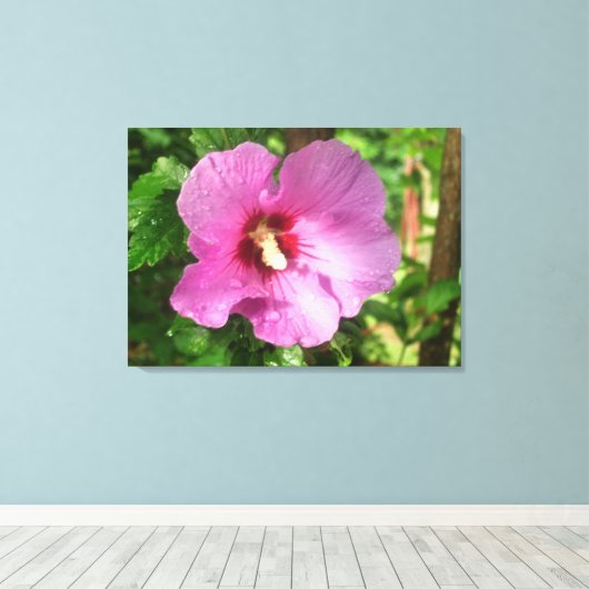 Canvas - omhuld - Roze roze roze roze roze van Sha (Insitu (Houten vloer))