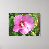 Canvas - omhuld - Roze roze roze roze roze van Sha (Voorkant)