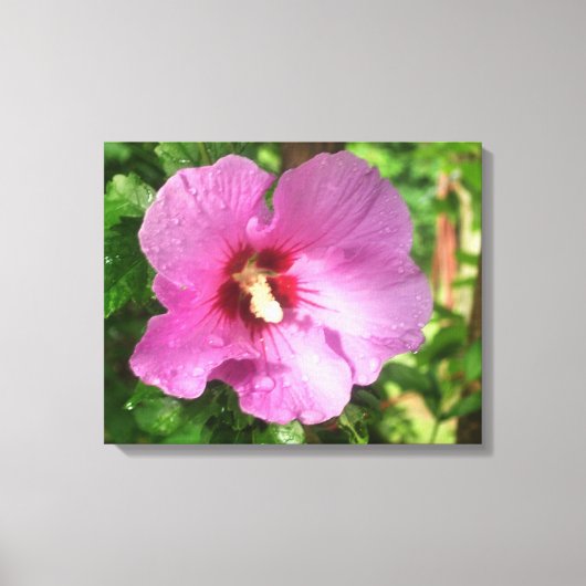 Canvas - omhuld - Roze roze roze roze roze van Sha Afdruk (Voorkant)