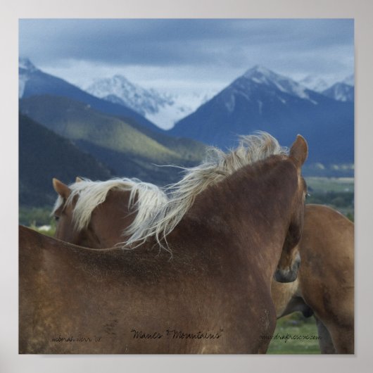 Canvas — Paarden en bergen Poster (Voorkant)