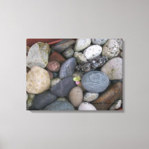 Canvas (Pebbles #1) RFPMDesignes ©️ 2012