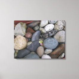 Canvas (Pebbles #1) RFPMDesignes ©️ 2012