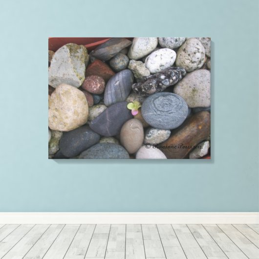 Canvas (Pebbles #1) RFPMDesignes ©️ 2012 Afdruk (Insitu (Houten vloer))