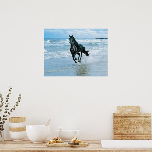 Canvas poster zwarte paard (Keuken)