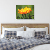 Canvas print - Calendula bloom (Insitu (Slaapkamer))