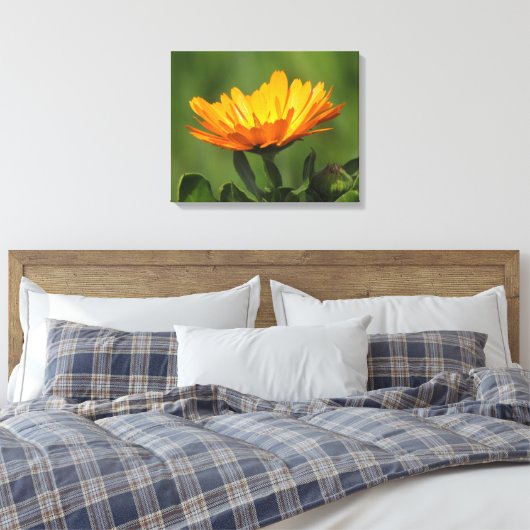 Canvas print - Calendula bloom (Insitu (Slaapkamer))