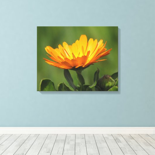 Canvas print - Calendula bloom (Insitu (Houten vloer))