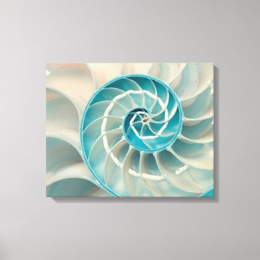 Canvas Print-Fibonacci-reeks in Natuur Zee Life Afdruk (Voorkant)