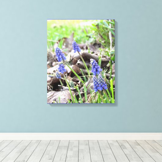 Canvas Print - Grape Hyacynth (Insitu (Houten vloer))