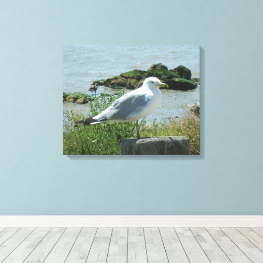 Canvas Print - Gull op Piling (Insitu (Houten vloer))