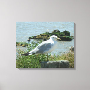 Canvas Print - Gull op Piling