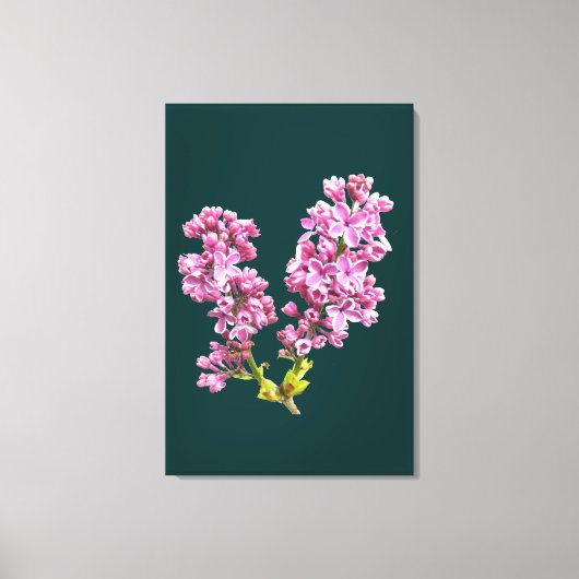 Canvas Print - Lila bloesems (Voorkant)