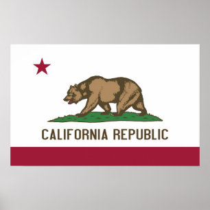 Canvas Print met vlag van Californië, VS