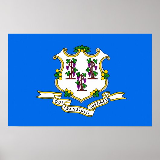 Canvas Print met vlag van Connecticut, VS (Voorkant)