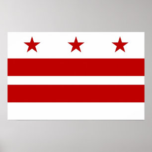 Canvas Print met vlag van Washington DC, VS